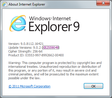 Internet_Explorer_9.0.2