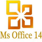 Ms Office 2010
